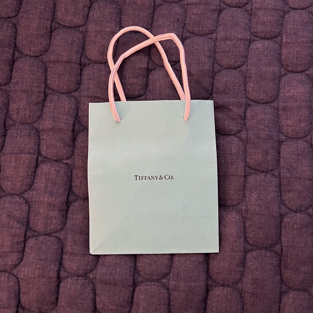 Tiffany & Co. mini bag